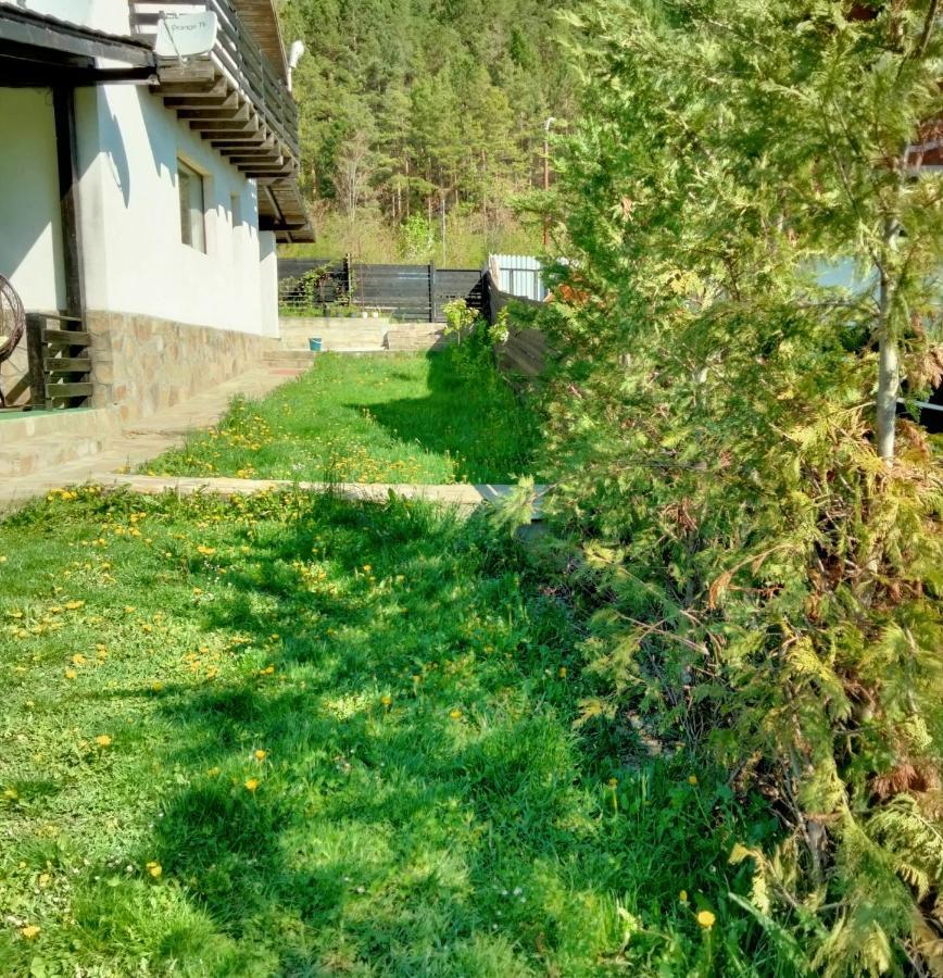 Vila Roxana Pangarati Zewnętrze zdjęcie
