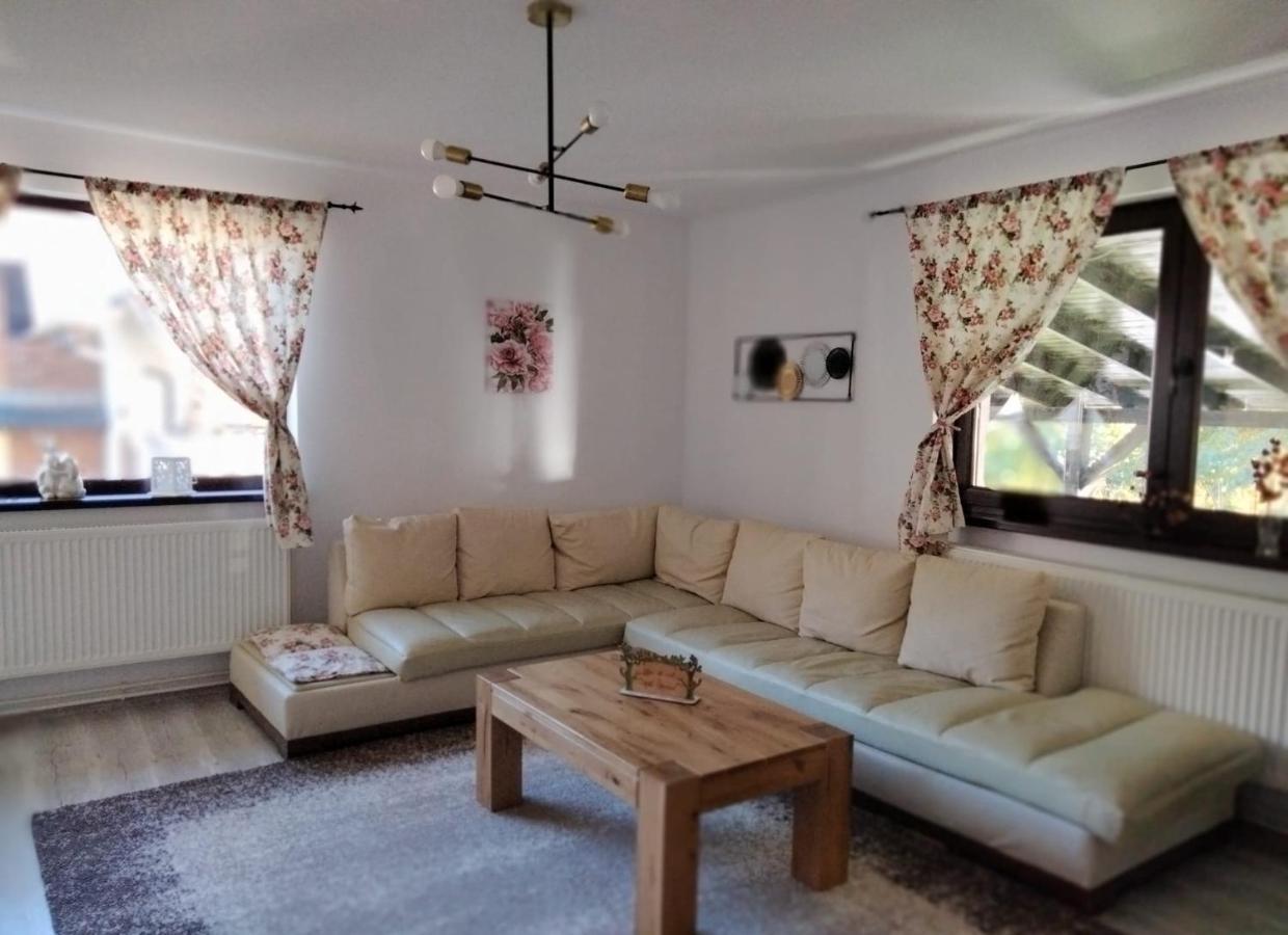 Vila Roxana Pangarati Zewnętrze zdjęcie